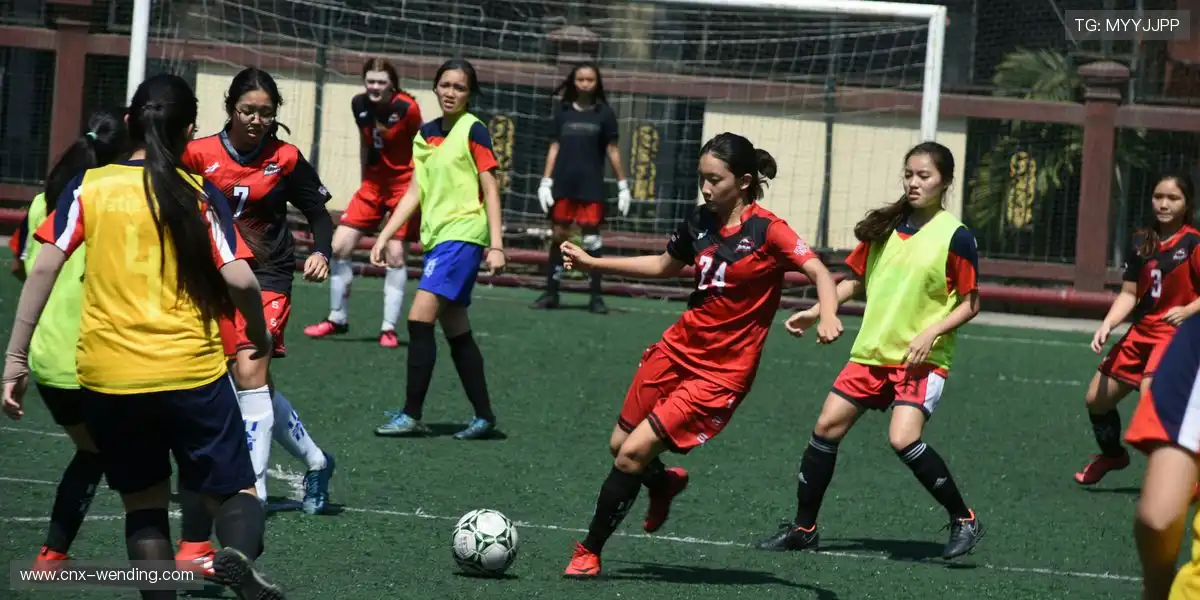 📱 高清画质自动匹配,流量也能稳看